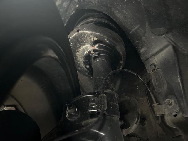 21324830_carP_l_20.jpg
