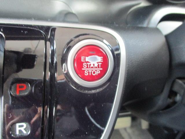 22877384_carP_l_4.jpg