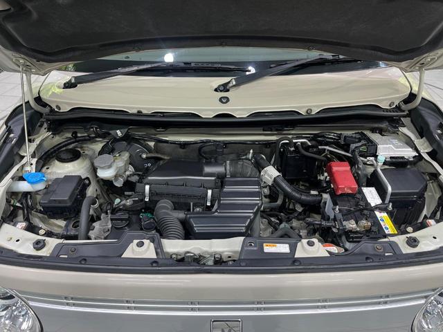 23054698_carP_l_18.jpg