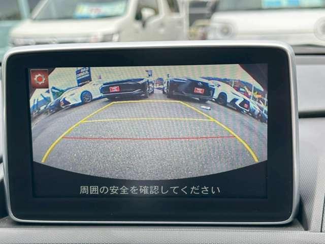 22247301_carP_l_9.jpg