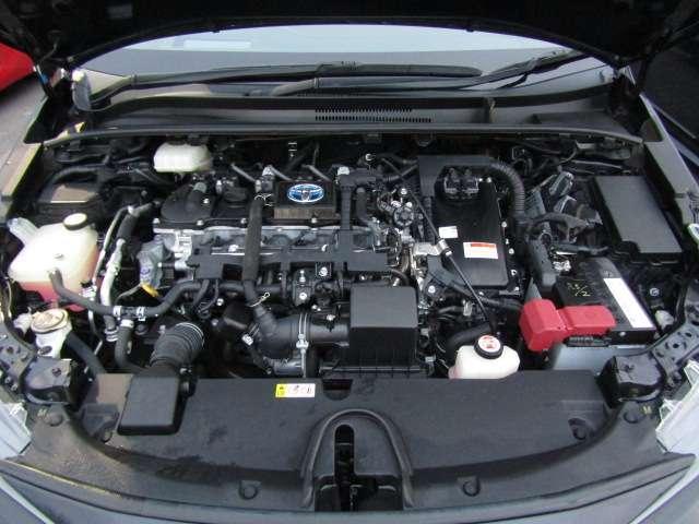 22164035_carP_l_8.jpg
