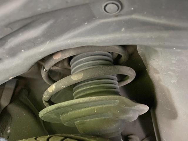 23130554_carP_l_20.jpg