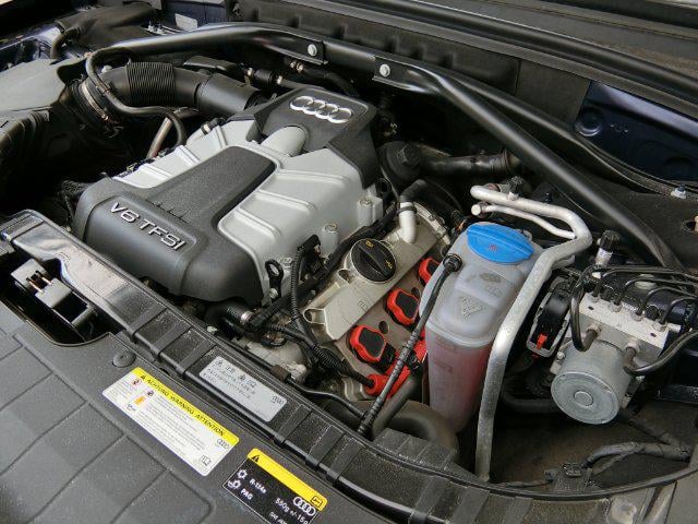cd517ee051a70a851d8e301ec7a728f0.jpg