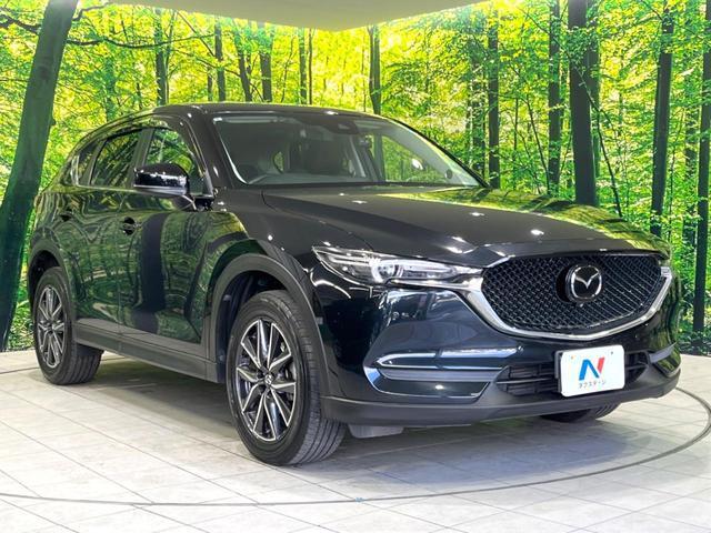 22205632_carP_l_11.jpg