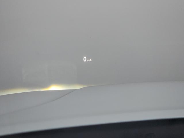 9619f665a9985d45f2f5f0032fef1061.jpeg
