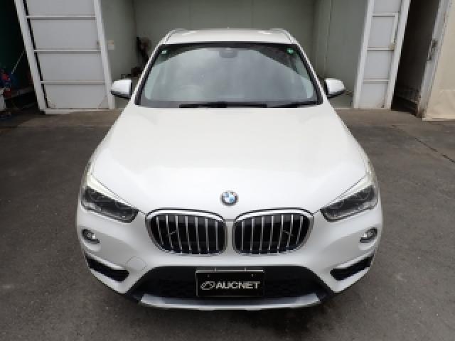 22531087_carP_l_10.jpg