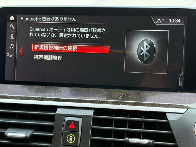 23053889_carP_l_20.jpg