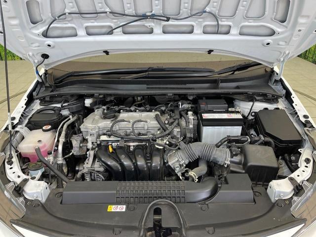 18272779_carP_l_16.jpg