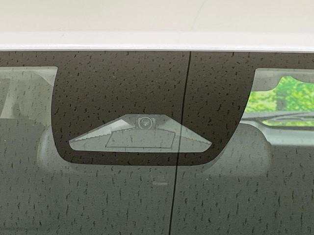 22506171_carP_l_15.jpg