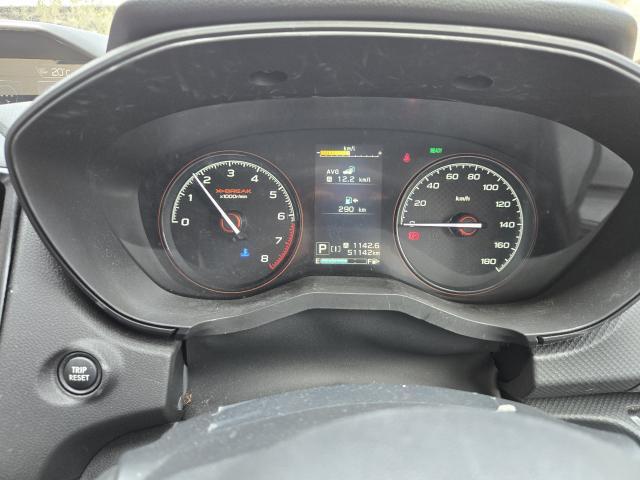 23047804_carP_l_10.jpg