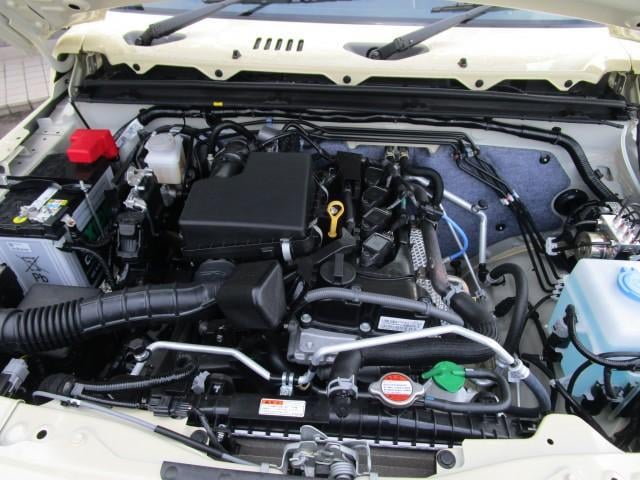 19898321_carP_l_17.jpg