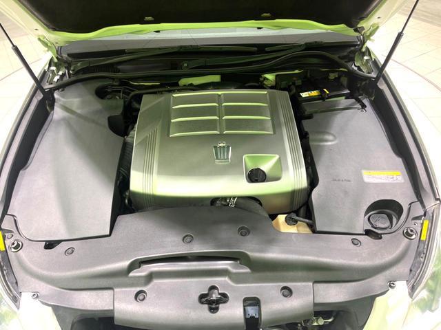 23013948_carP_l_18.jpg