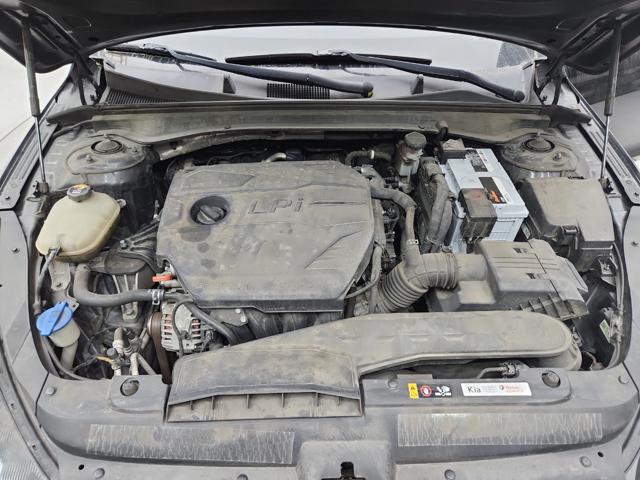 lotterental_141658495_HYQAz_4.jpg