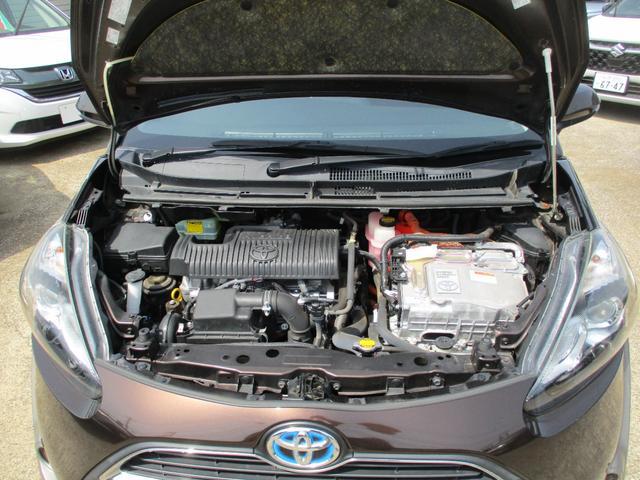 0502420A30250419W00202.jpg