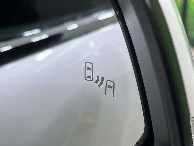 21947588_carP_l_14.jpg