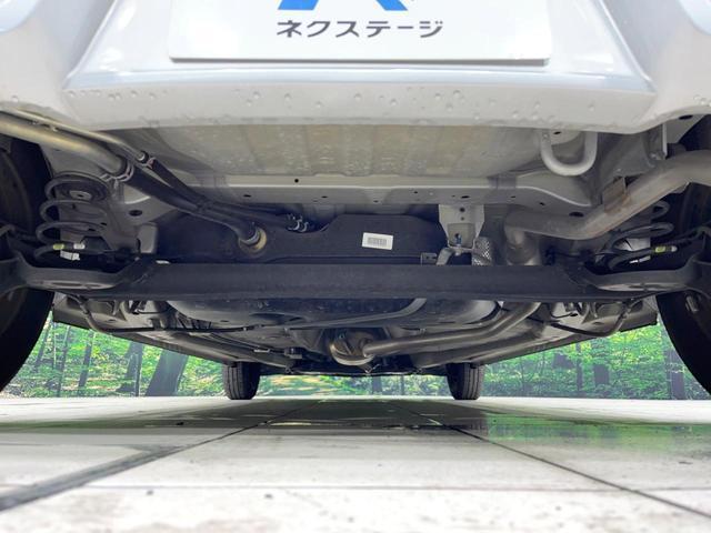 21873618_carP_l_18.jpg