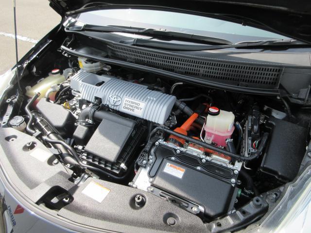 22965391_carP_l_20.jpg