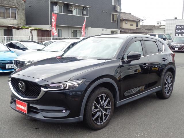 20177010_carP_l_2.jpg