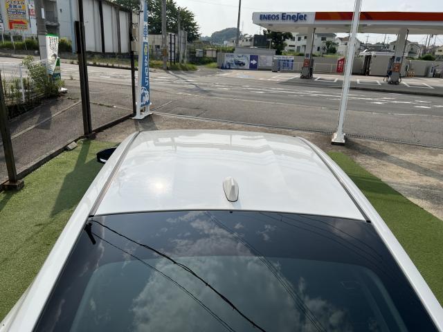 19307664_carP_l_18.jpg