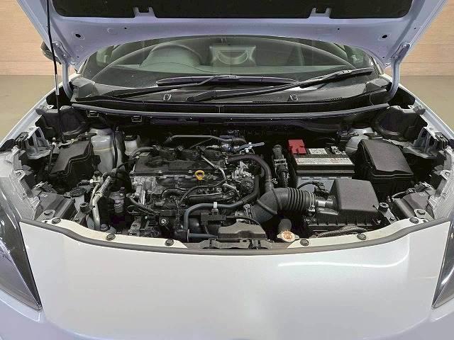 21959817_carP_l_7.jpg