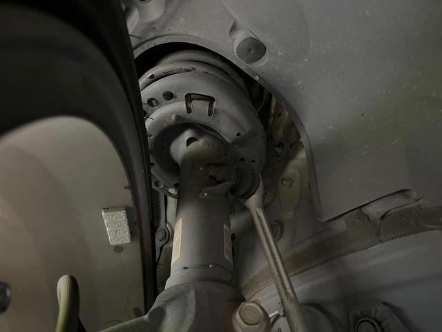 22186901_carP_l_20.jpg