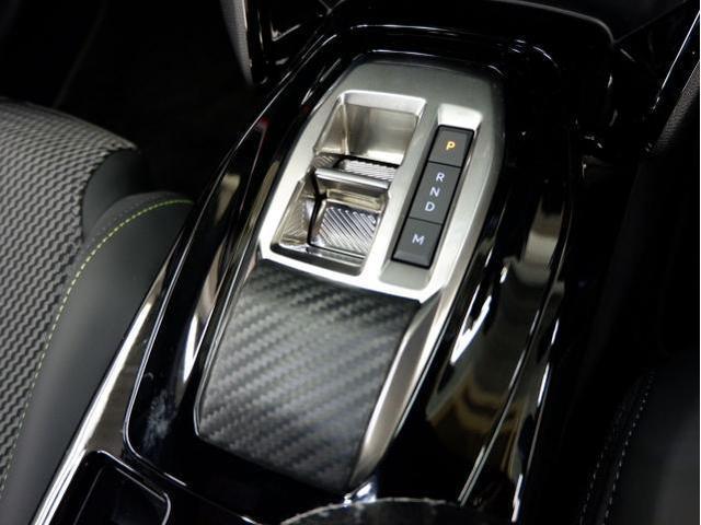 22039082_carP_l_7.jpg