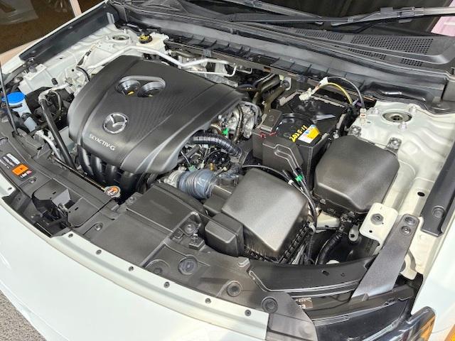 0560069A30260325W00210.jpg