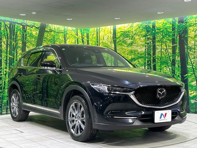 23054555_carP_l_11.jpg