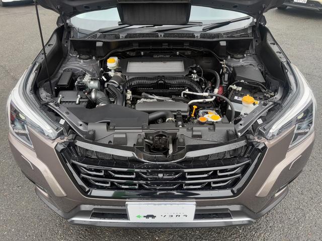 0708888A30260219W00112.jpg
