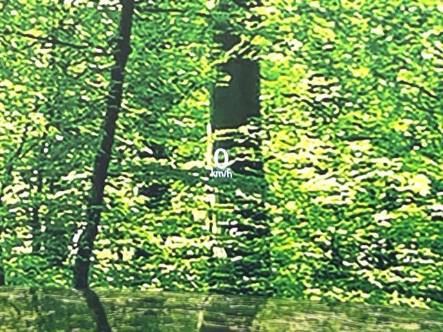 21236377_carP_l_14.jpg