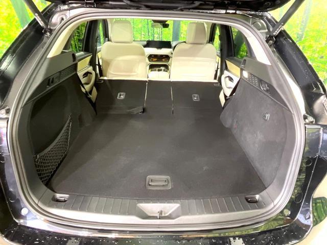 21236377_carP_l_5.jpg