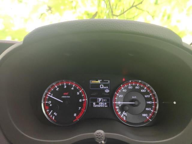 16971850_carP_l_8.jpg