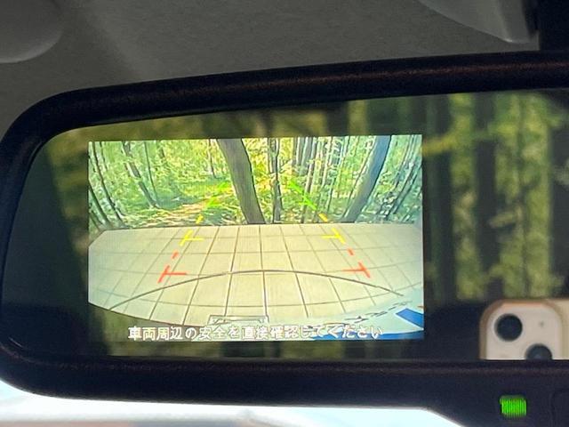 20329487_carP_l_10.jpg