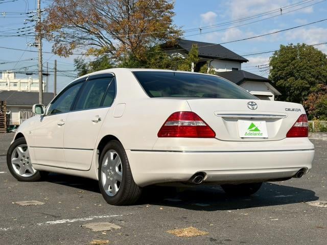 20705744_carP_l_9.jpg
