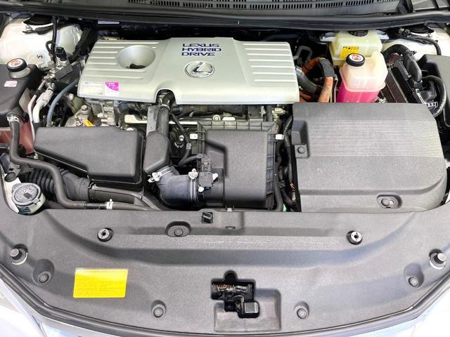 23094246_carP_l_16.jpg