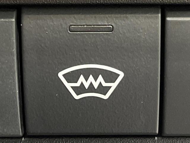 21765060_carP_l_10.jpg