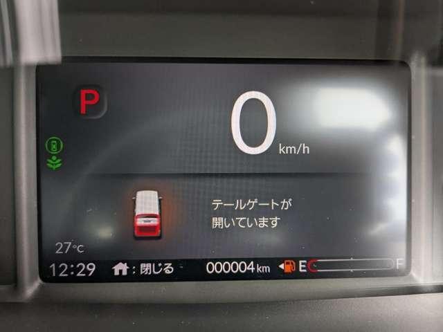 17641516_carP_l_2.jpg