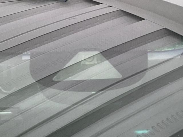 22760697_carP_l_10.jpg