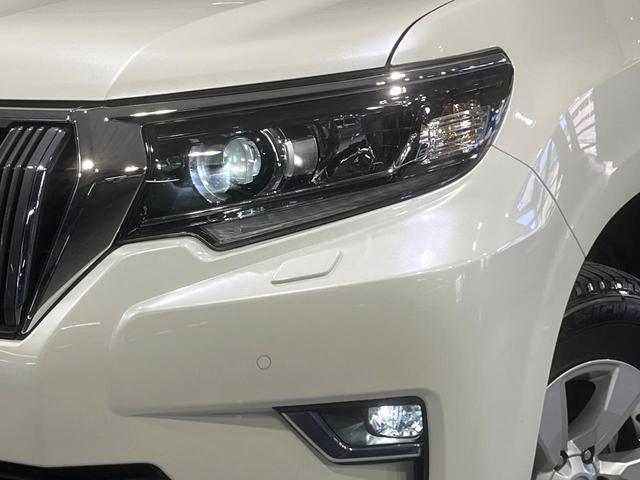 22760248_carP_l_6.jpg