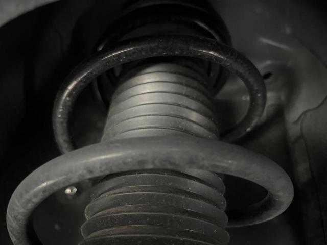 22506567_carP_l_20.jpg