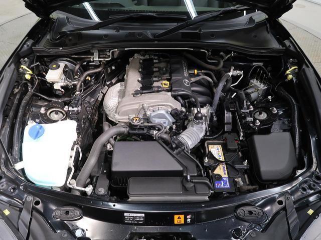 21689796_carP_l_16.jpg
