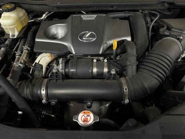 21237096_carP_l_16.jpg