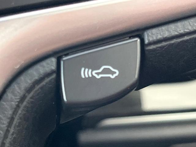 19897594_carP_l_10.jpg