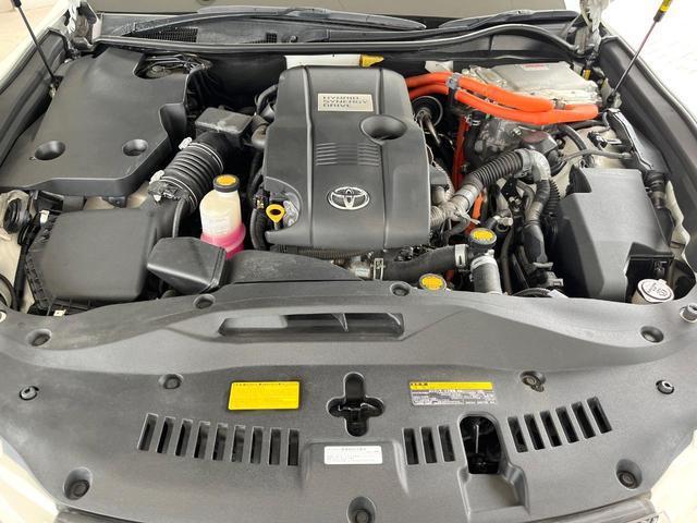 19897594_carP_l_12.jpg