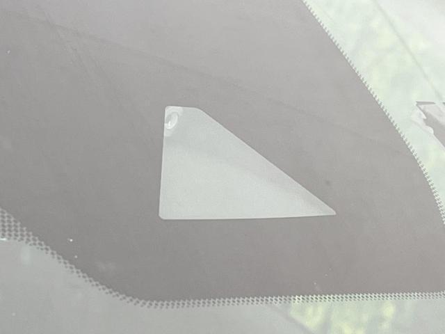21909910_carP_l_10.jpg