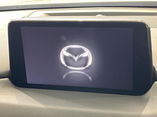 22680851_carP_l_4.jpg