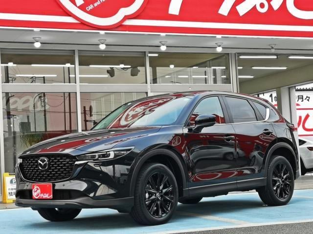 e554d313e16fcd3a113856923428d0bf.jpg