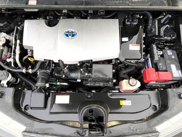 23074703_carP_l_20.jpg