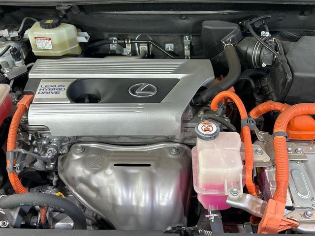 22205867_carP_l_16.jpg