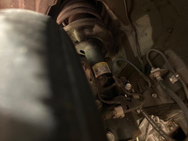 22205867_carP_l_20.jpg